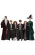 Lalka Harry Potter Komnata Tajemnic GCN30 mix Mattel