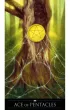 Zestaw Tarot Czarostwa + ksi��ka