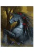 Twoje Hobby Malowanie po numerach - Czarny ko� 40x50cm