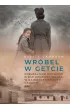 Wr�bel w getcie