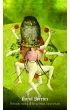 Hieronymus Bosch Tarot