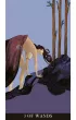 Circe Tarot, karty do wr�enia