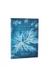 Anna Atkins` Cyanotypes Notatnik Sea Flowers midi linia