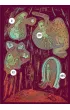 Magia dla pocz�tkuj�cych. Jak wytresowa� Cthulhu. Tom 1