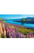 Puzzle 500 el. Lake Tekapo, New Zealand Castorland