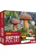 Memory Grzyby Polski Adamigo