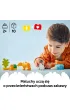 LEGO DUPLO Town Rodziny dzikich zwierz�t: pingwiny i lwy 10442