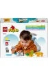 LEGO DUPLO Town Rodziny dzikich zwierz�t: pingwiny i lwy 10442