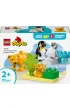 LEGO DUPLO Town Rodziny dzikich zwierz�t: pingwiny i lwy 10442