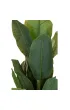 ProGarden Du�y bananowiec w donicy 165 cm