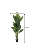ProGarden Du�y bananowiec w donicy 165 cm