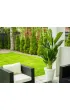 ProGarden Du�y bananowiec w donicy 165 cm