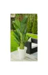 ProGarden Du�y bananowiec w donicy 165 cm