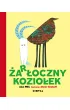 �ar�oczny kozio�ek