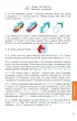 Matematyka z weso�ym kangurem. �aczek, maluch, beniamin. Suplement
