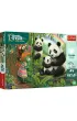 Puzzle 100 element�w Pandy TREFL 16595 TR