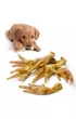 Alpha Spirit Puppies Junior Karma p�mi�kka 45 x 200 g