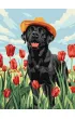 Ideyka Malowanie po numerach - Uroczy labrador 30x40cm