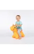 Skoczek konik pomara�czowy Tootiny