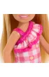 Barbie. Chelsea i przyjaciele HXM95 Mattel