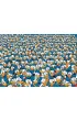 Puzzle 1000 el. Compact Impossible Puzzle! Donald Duck Clementoni