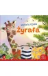 �yrafa