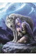 Puzzle 1000 el. Anne Stokes Protector Clementoni