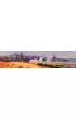 Nucleum: Australia