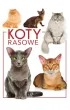 Koty rasowe