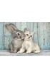 Puzzle 500 el. Compact Cat & Bunny Clementoni