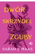 Dwr skrzyde i zguby. Dwr cierni i r. Tom 3