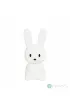 Marys MARY S lampka  LED Zaj�c ma�y bia�y RGB WW  RC