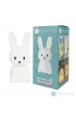 Marys MARY S lampka  LED Zaj�c ma�y bia�y RGB WW  RC